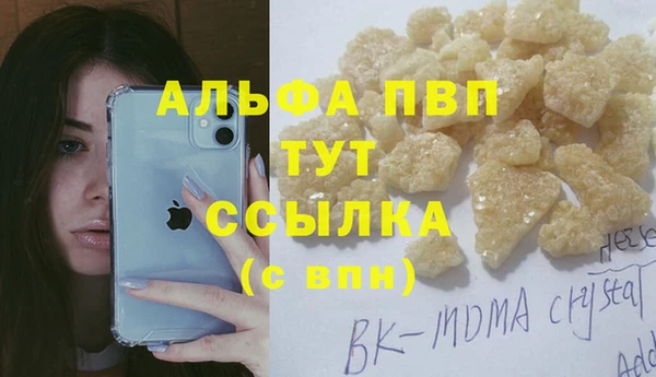 хмурый Арсеньев