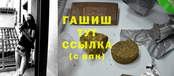 хмурый Арсеньев