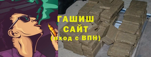 хмурый Арсеньев