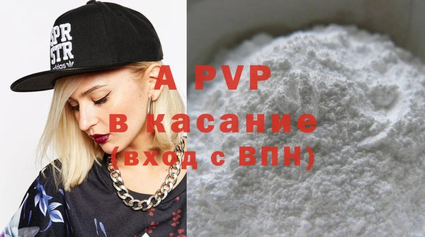 хмурый Арсеньев
