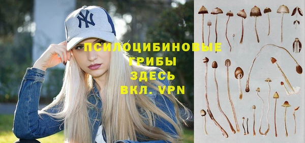 хмурый Арсеньев