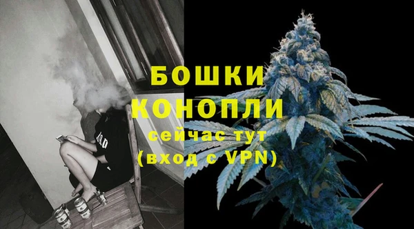хмурый Арсеньев
