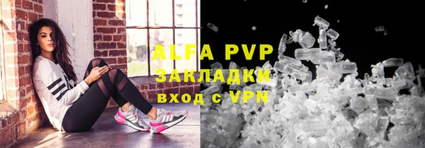 стафф Аркадак