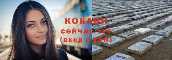 стафф Аркадак